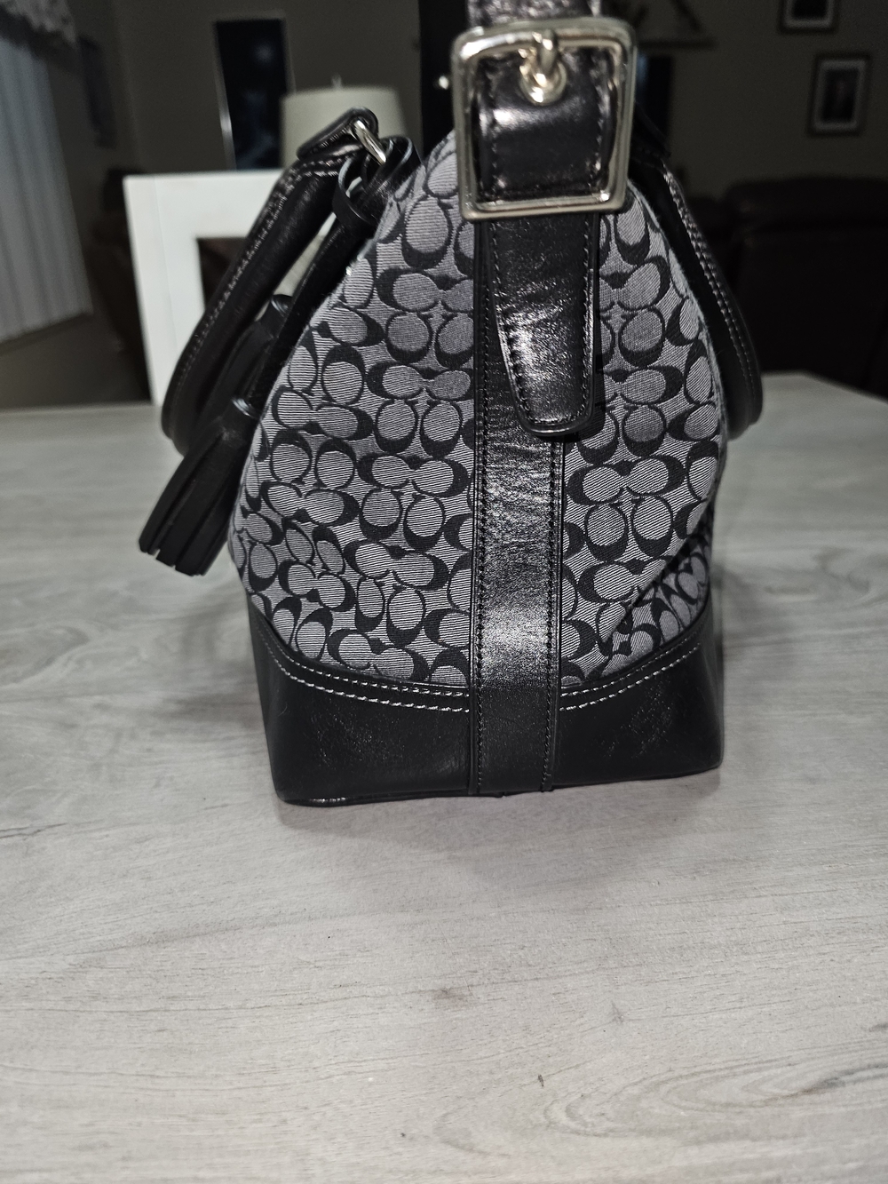Coach Signature Legacy Stripe Molly Satchel with Tassel - Picture 5 of 14